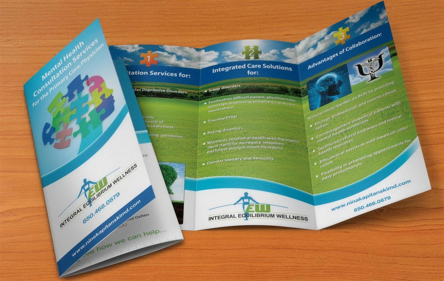 Integral Equilibrium Wellness trifold brochure.